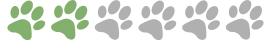 pata 02