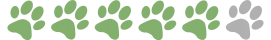 pata 05